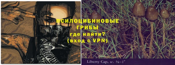 прущий лед Аркадак