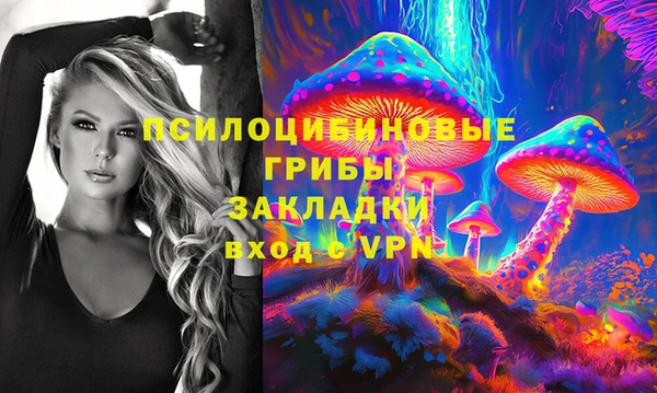 прущий лед Аркадак