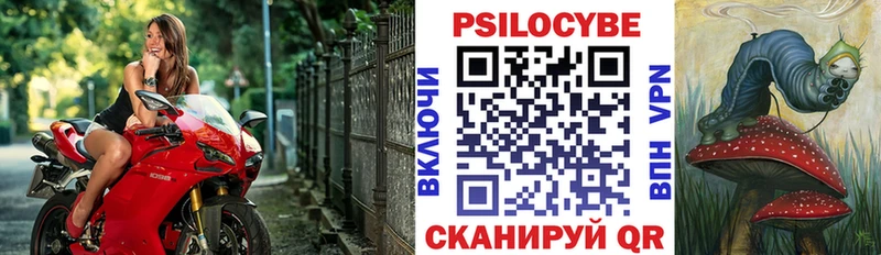Псилоцибиновые грибы прущие грибы  купить закладку  Калач 